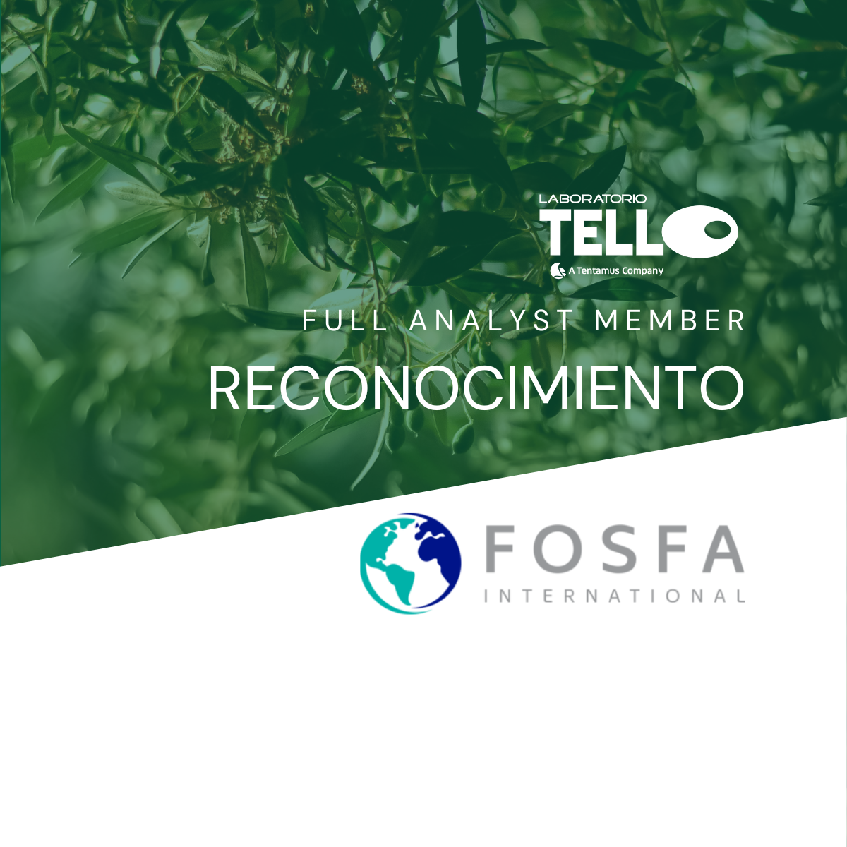 Renovación de reconocimiento FOSFA | Laboratorio Tello